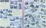 IMG-cf307a3336f7c82c67c5db83dc15ddb7-V